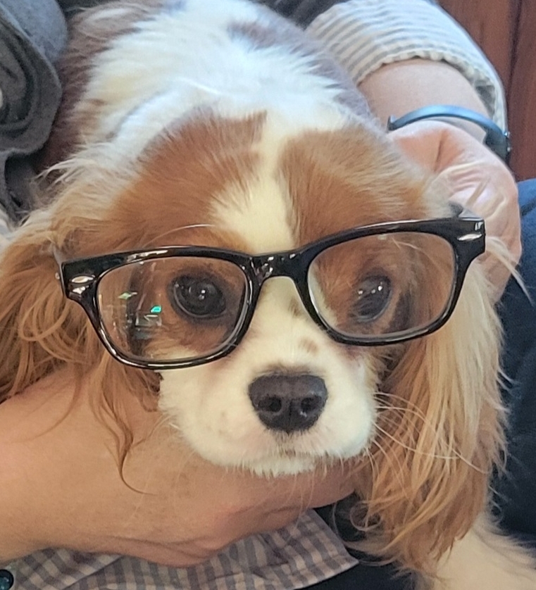 2025-04-22 Bingley smarty.jpg
